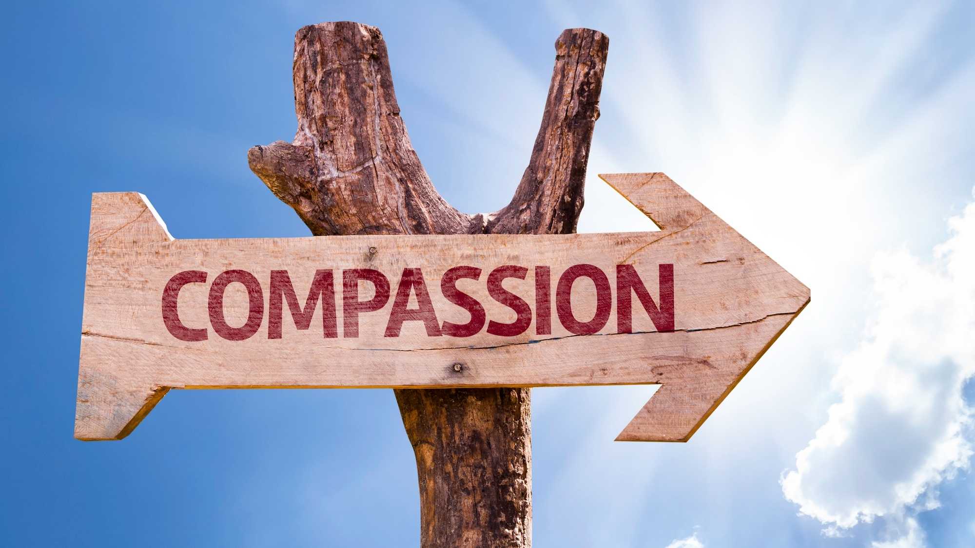 Harnessing Self-Compassion: A Roadmap to Nurturing Inner Kindness 